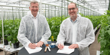 Bayer and Solynta collaborate to bring quality potato seeds to smallholder markets