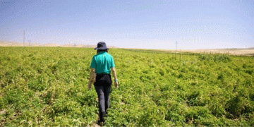 PepsiCo’s 2023 ESG Report: Significant Progress Amid Challenges in Sustainable Practices