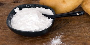 Chinese and Pakistani Enterprises Sign MoU to Establish Potato Starch Plant in Pakistan