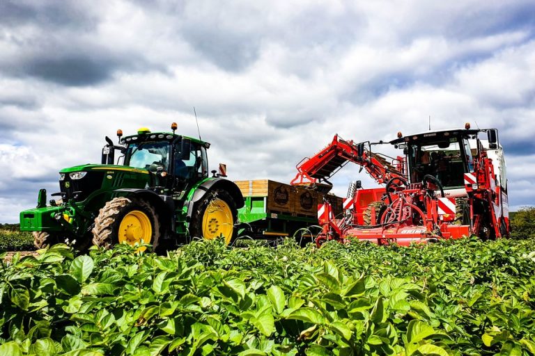 Climate Crisis Threatens Agriculture and Safety in Ireland: Potatoes and Carrots at Risk