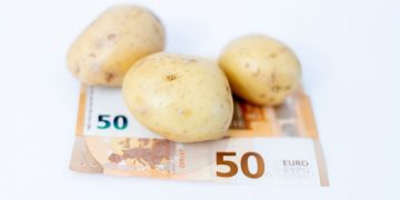 Potatoes New Zealand Secures Strong Mandate for Upcoming Levy Cycle