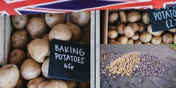 Scotland’s Potato Sector Faces Challenges Amid Changing Consumer Preferences and Export Concerns