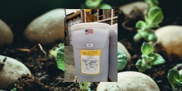 Enhancing Potato Trade: 1,4GROUP’s Strategic Moves in Global Markets