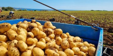 Enhancing Agricultural Sustainability: USDA’s $50 Million Initiative Supporting Farmworkers and Employers