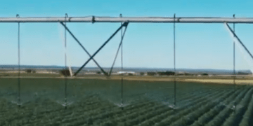 Optimal Potato Irrigation with the KPT Komet Precision Twister