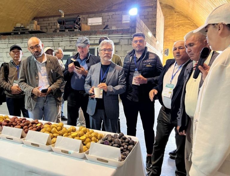 Rusia e Casaquistán están a traballar xuntos en cuestións relacionadas co cultivo de patacas 31 Rusia e Casaquistán están a traballar xuntos en cuestións de cultivo de pataca