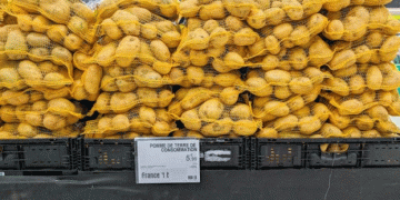 Understanding the Stability and Surge of Potato Prices in England and Scotland: A Deep Dive into the Maris Piper and White Potato Markets