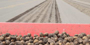 $367.8 Million Is No Small Potatoes: The Economic Impact of the Klamath Project