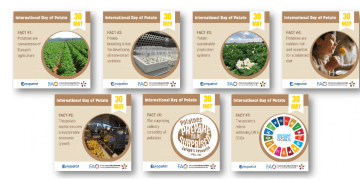 Celebrating the International Day of the Potato: A Staple Crop with a Sustainable Future