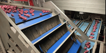 Harnessing Machine Learning for Potato Farming: PEI’s G Visser & Sons Adopts HarvestEye Technology