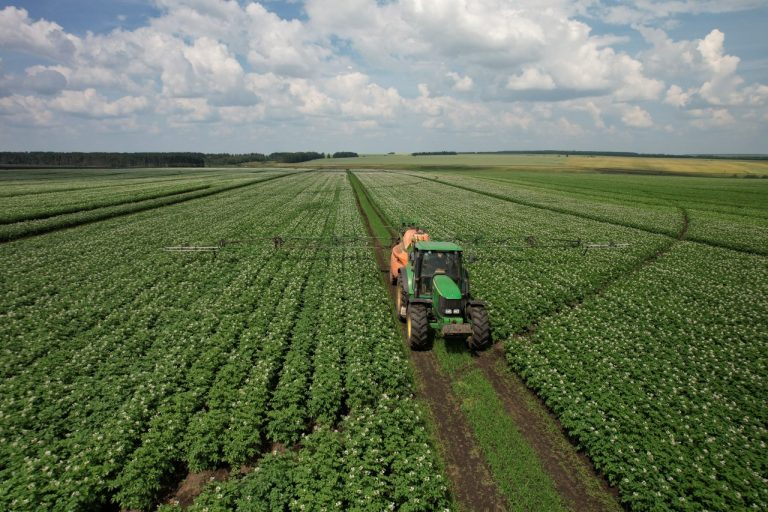 The Success Story of "Slava Kartofelyu": Innovations in Seed Potato Production 29 The Success Story of “Slava Kartofelyu”: Innovations in Seed Potato Production