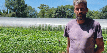 Battling Blight: How Rainy Springs are Devastating Crops in Haute-Vienne