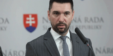 The Future of Potato Production in Slovakia: Overcoming Decline through Irrigation and Support