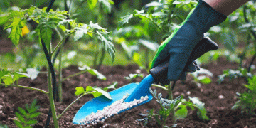 Tidal Grow AgriScience Secures USDA Grant to Triple Production of Regenerative Fertilizers