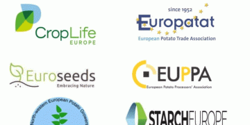 EU Action Plan: Combatting Late Blight in Potatoes to Secure Europe’s Potato Future
