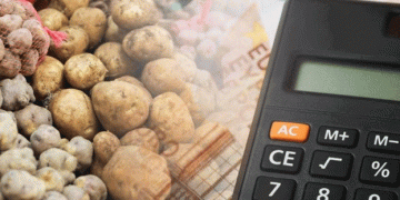 USDA’s $50M Potato Purchase: A Lifeline for Growers Amid Surplus Crisis