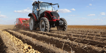 Uncertainty Looms as Main Potato Harvest Begins in Northern Spain