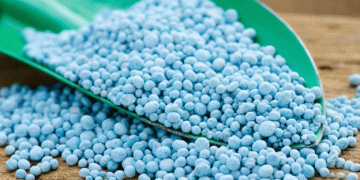 When Too Much of a Good Thing Becomes a Bad Thing: Examining Nitrogen Use Under Limited Irrigation