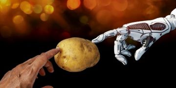 New Horizon 2020 EU Project ADAPT Advances Potato Stress Tolerance Research