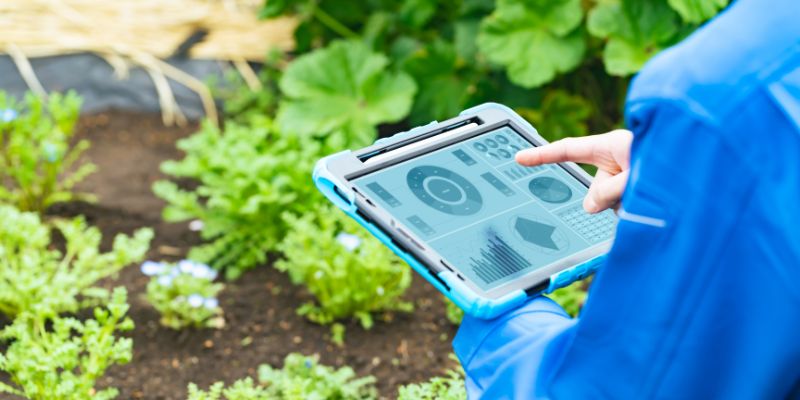 NAPSO Launches Online Survey to Enhance Potato Storage Practices in North America