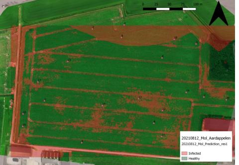 NemDetect: Early detection of quarantine nematodes in potatoes using remote sensing 27 NemDetect: Early detection of quarantine nematodes in potatoes using remote sensing