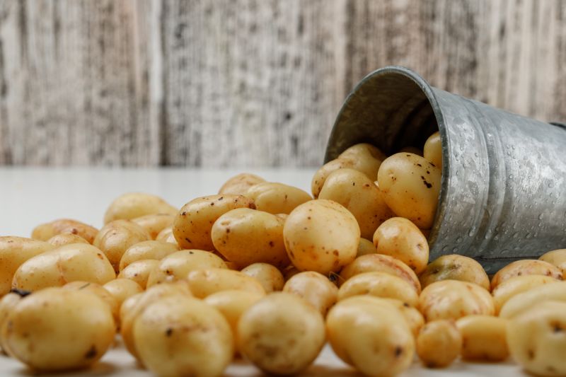 Record-Breaking Potato Prices Loom as EU Farmers Face Adverse Conditions.