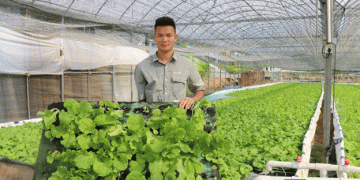 Seaweed-Based Fertilizers: A Natural Defense Against Potato Blight in Organic Farming