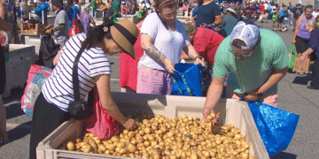 “Ugly Potato Day” Gains Momentum: A Success Story of Reducing Food Waste and Fighting Food Insecurity