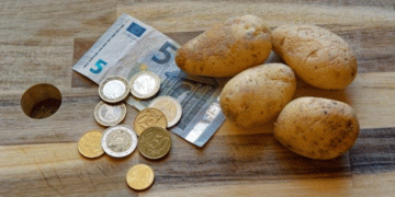 Potato Demand Remains Robust in Ireland and the UK: Key Trends and Challenges for the Coming Season