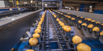 Is Your Labor Force Sufficient to Maximize Capacity and Keep Your Agricultural Business Fully Operational?