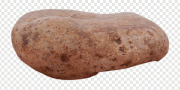 Russet Potatoes Lead the Way: Dominating U.S. Potato Acreage Across Top-Producing States