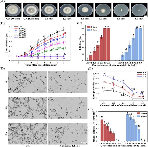 Inhibitory effects and mechanisms of cinnamaldehyde against Fusarium oxysporum, a serious pathogen in potatoes 13 Inhibitory effects and mechanisms of cinnamaldehyde against Fusarium oxysporum, a serious pathogen in potatoes