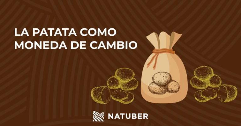 Историческата роля на картофите: от хранителен продукт до валута по време на златната треска в Канада