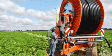 Balancing Profits and Sustainability: The Potato Farming Journey of Pierre-Henri Belvas