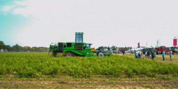 Money Fuels Expansion in European Potato Farming: The Rising Demand and Investment Surge