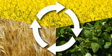 How Diverse Crop Rotations Can Protect Farmers from Crop Loss in a Changing Climate