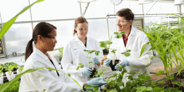 Bayer Awards Genvor with Golden Ticket: Revolutionizing Crop Protection through Open Innovation