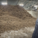 Aurora (Lipetsk Oblast): containerized potato storage at scale — slotted floors, fast turnarounds, and 110–120k-ton capacity in sight 2 Aurora (Lipetsk Oblast): containerized potato storage at scale — slotted floors, fast turnarounds, and 110–120k-ton capacity in sight
