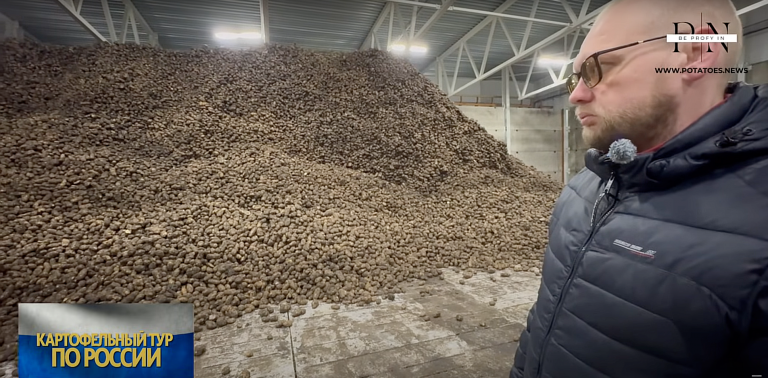 Aurora (Lipetsk Oblast): containerized potato storage at scale — slotted floors, fast turnarounds, and 110–120k-ton capacity in sight