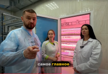 Cómo nacen las patatas: del tubo de ensayo al minitubérculo en el Grupo Samarskie Ovoschi