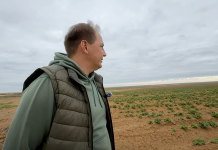 Potato Tour of Russia: Early Potatoes on the Steppe’s Edge — Visit to Pavel Androsov’s Farm (Limansky District, Astrakhan Oblast)
