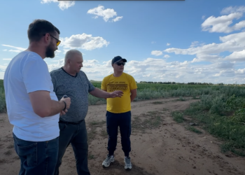 Фермерское хозяйство «Сергей», Евгеньевка: Виктор Рямбов о земле, семье и выборе культур