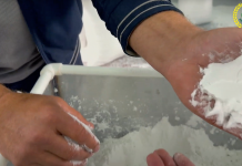 The “White Gold” of Bryansk: Mglin Starch Plant — from Bankruptcy to Modernization and Farmer Partnerships