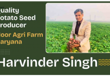 The Seed Potato Revolution: How One Indian Farmer is Transforming a Nation’s Potato Industry