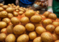 Test-Tube Potatoes in High Demand: Belarusian Farmers Rush to Buy Elite Seed Potatoes