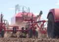 Bryansk Region Begins Planting Early Potatoes