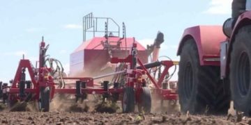 Bryansk Region Begins Planting Early Potatoes