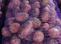 Stavropol Region to Expand Potato Acreage and Increase Variety Diversity