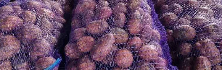 Stavropol Region to Expand Potato Acreage and Increase Variety Diversity