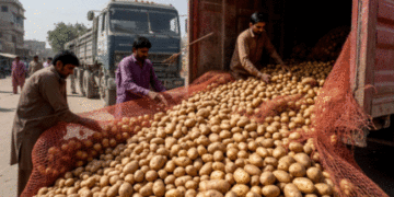 Russia Lifts Potato Import Ban on Pakistan: Three Punjab Exporters Granted Access to Russian Market